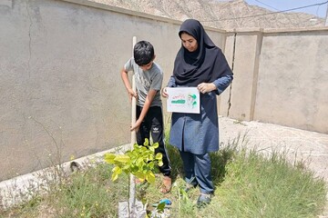 غرس نهال‌های مثمر در کتابخانه‌های عمومی استان بوشهر
