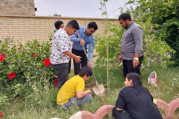 غرس نهال‌های مثمر در کتابخانه‌های عمومی استان بوشهر