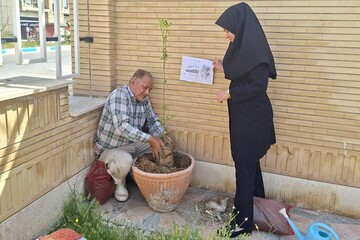 غرس نهال‌های مثمر در کتابخانه‌های عمومی استان بوشهر