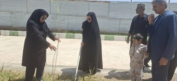 کاشت نهال سیستان و بلوچستان