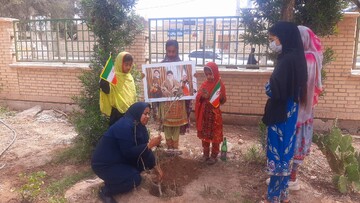 کاشت نهال سیستان و بلوچستان