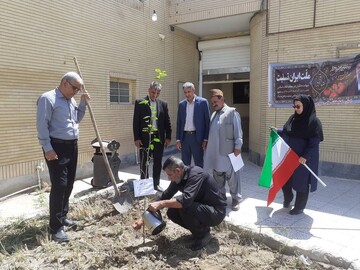 کاشت نهال سیستان و بلوچستان