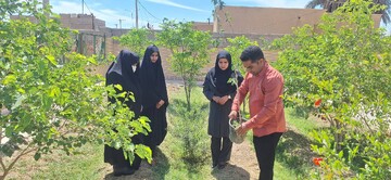 کاشت نهال سیستان و بلوچستان