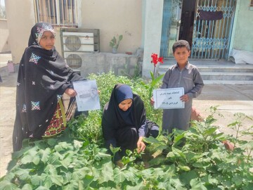 کاشت نهال سیستان و بلوچستان