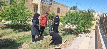کاشت نهال سیستان و بلوچستان