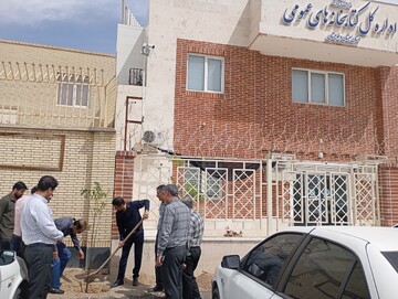 کاشت نهال سیستان و بلوچستان