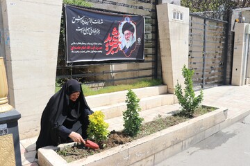 غرس نهال در پویش ملی «باغ امین» با حضور مدیرکل کتابخانه های عمومی استان خراسان رضوی