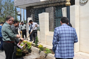 غرس نهال در پویش ملی «باغ امین» با حضور مدیرکل کتابخانه های عمومی استان خراسان رضوی