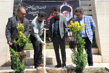 غرس نهال در پویش ملی «باغ امین» با حضور مدیرکل کتابخانه های عمومی استان خراسان رضوی
