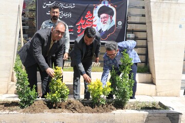 غرس نهال در پویش ملی «باغ امین» با حضور مدیرکل کتابخانه های عمومی استان خراسان رضوی