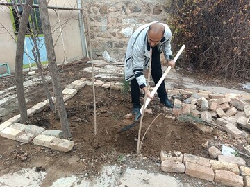باغ امین1