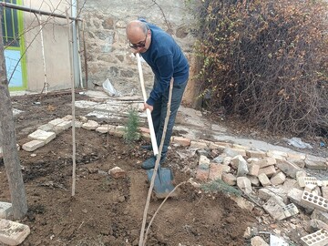 باغ امین2