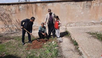 باغ امین3