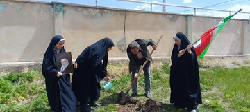 باغ امین5