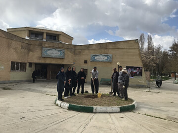 باغ امین6