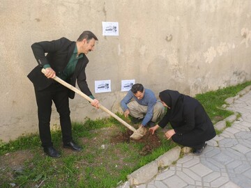باغ امین7