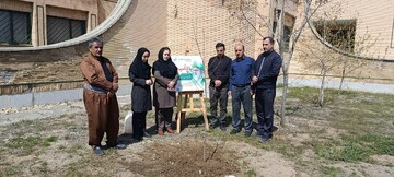 باغ امین10