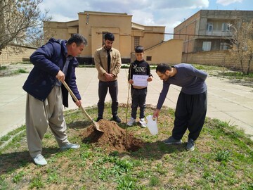 باغ امین14