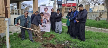 باغ امین17