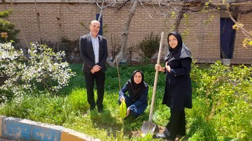 کاشت نهال استان قزوین