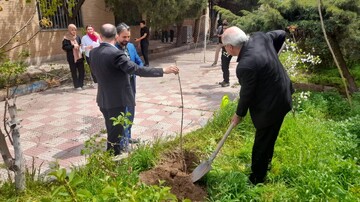 کاشت نهال استان قزوین