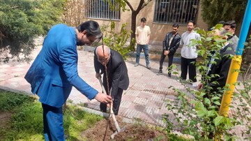کاشت نهال استان قزوین