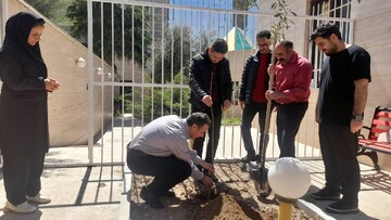 کاشت نهال استان قزوین