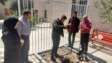 کاشت نهال استان قزوین