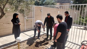 کاشت نهال استان قزوین