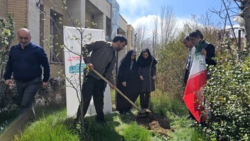 غرس نهال در پویش «باغ امین» در اداره کل کتابخانه‌های عمومی استان زنجان