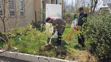 غرس نهال در پویش «باغ امین» در اداره کل کتابخانه‌های عمومی استان زنجان