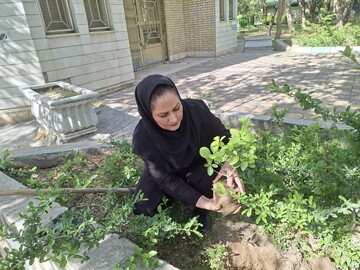 اجرای پویش ملی «باغ امین» در کتابخانه‌ های عمومی شهر تهران