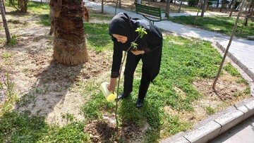 اجرای پویش ملی «باغ امین» در کتابخانه‌ های عمومی شهر تهران