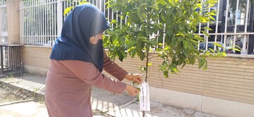 اجرای پویش ملی «باغ امین» در کتابخانه‌ عمومی پانزده خرداد  شهرستان پیشوا