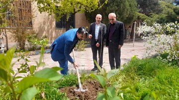 کاشت نهال قزوین