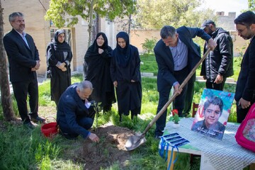 کاشت نهال استان قزوین
