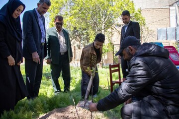 کاشت نهال در کتابخانه عمومی امام محمدباقر(ع) آبیک