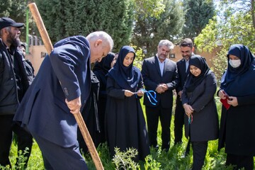 کاشت نهال در کتابخانه عمومی امام محمدباقر(ع) آبیک