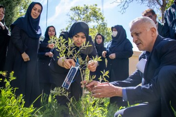 کاشت نهال در کتابخانه عمومی امام محمدباقر(ع) آبیک