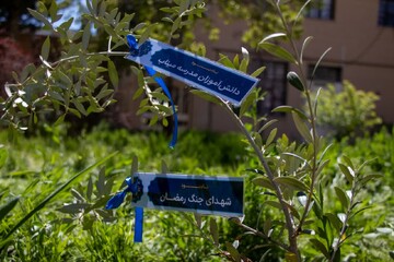 کاشت نهال در کتابخانه عمومی امام محمدباقر(ع) آبیک