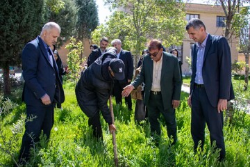 کاشت نهال در کتابخانه عمومی امام محمدباقر(ع) آبیک