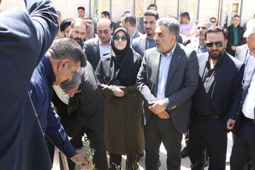غرس نهال در پویش سراسری «باغ امین» با حضور استاندار لرستان در کتابخانه ی حضرت مهدی (عج) خرم آباد