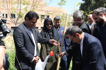 غرس نهال در پویش سراسری «باغ امین» با حضور استاندار لرستان در کتابخانه ی حضرت مهدی (عج) خرم آباد