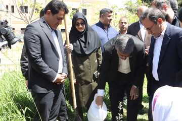 غرس نهال در پویش سراسری «باغ امین» با حضور استاندار لرستان در کتابخانه ی حضرت مهدی (عج) خرم آباد