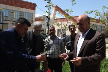 غرس نهال در پویش سراسری «باغ امین» با حضور استاندار لرستان در کتابخانه ی حضرت مهدی (عج) خرم آباد