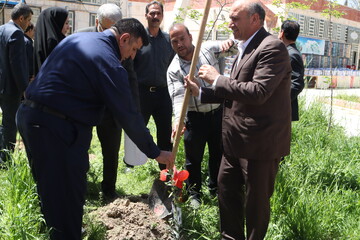 غرس نهال در پویش سراسری «باغ امین» با حضور استاندار لرستان در کتابخانه ی حضرت مهدی (عج) خرم آباد