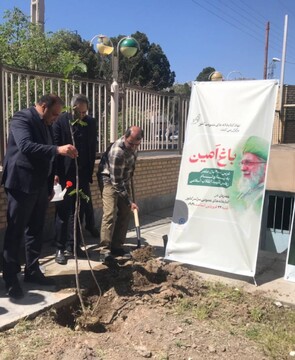 کاشت نهال خراسان جنوبی