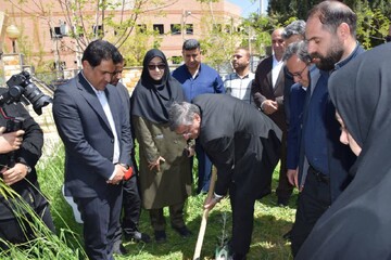 کاشت نهال لرستان