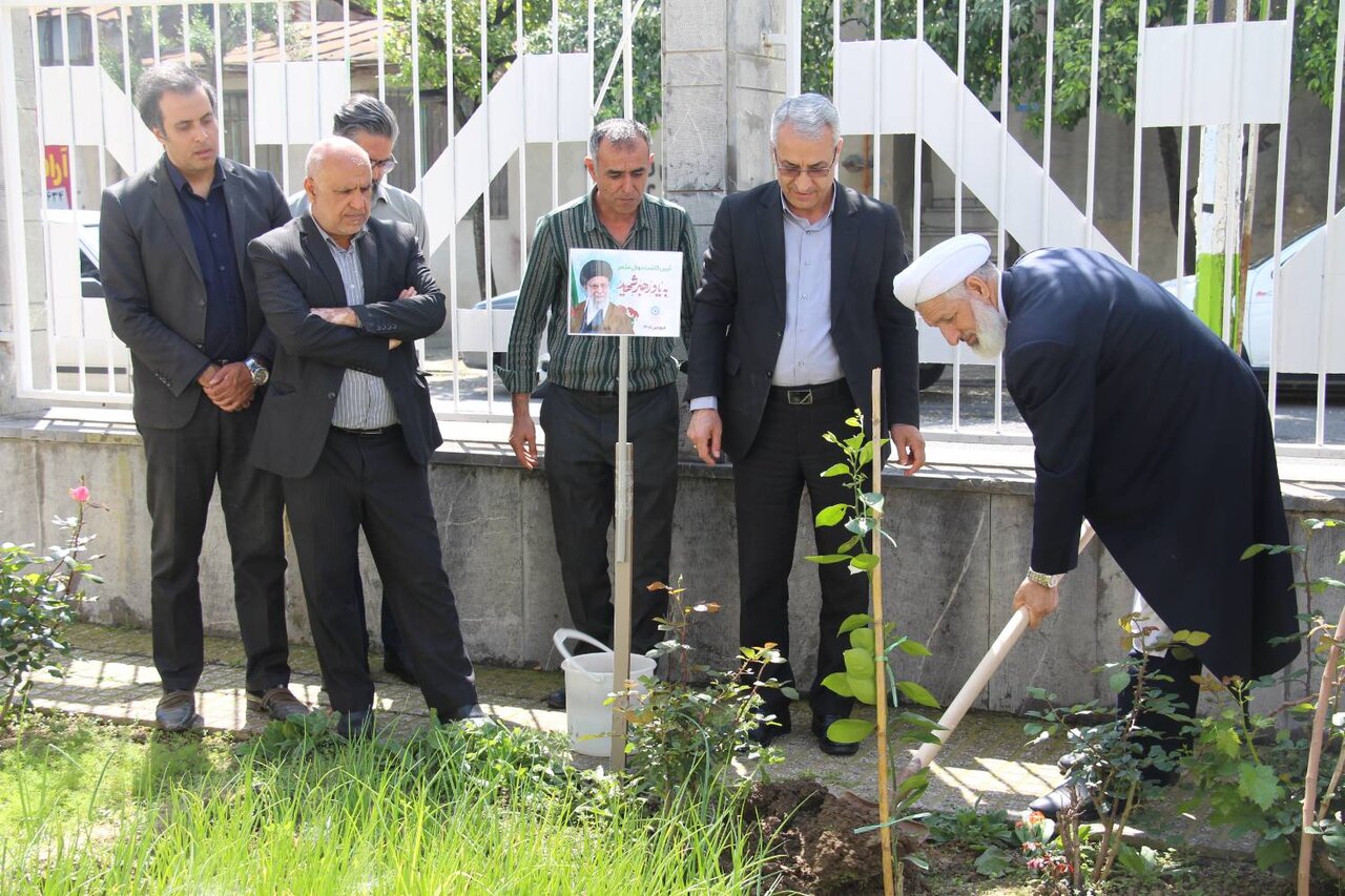 غرس نهالهای مثمر در کتابخانه عمومی بشارت گرگان همزمان با پویش ملی «باغ امین»