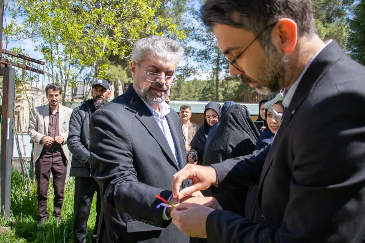 کاشت نهال قزوین